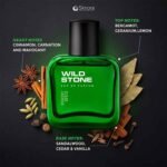 Wild Stone Forest Spice EDP 100ml Perfume for Men - Image 3